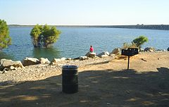 Illustration for article titled A Lake Lament